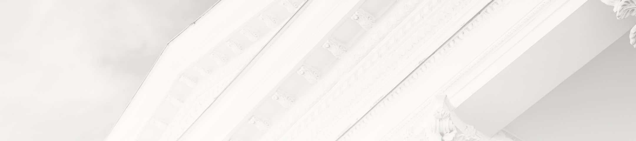 expert witness services